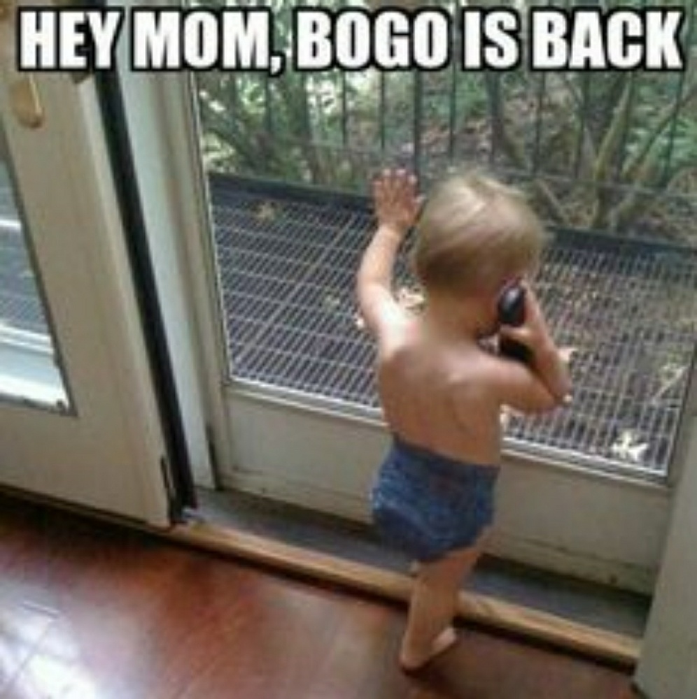 BOGO..buy one get one free sale!